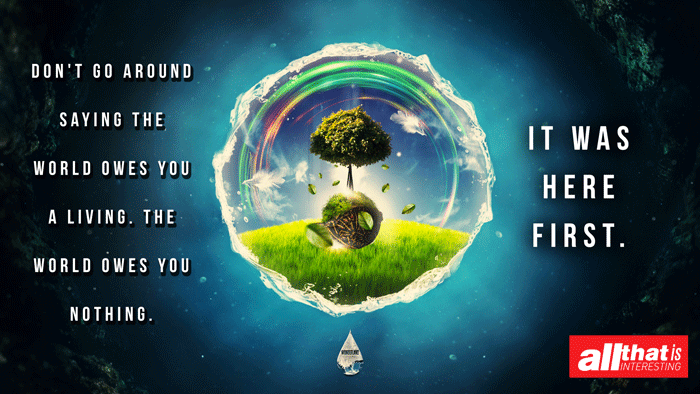 The World Owes You Nothing