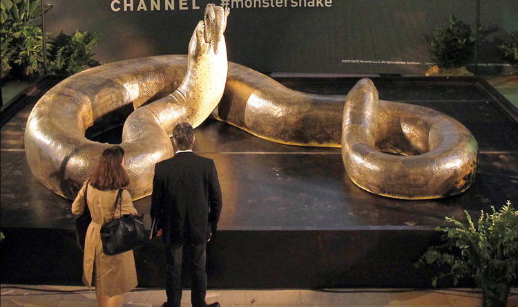 Titanoboa