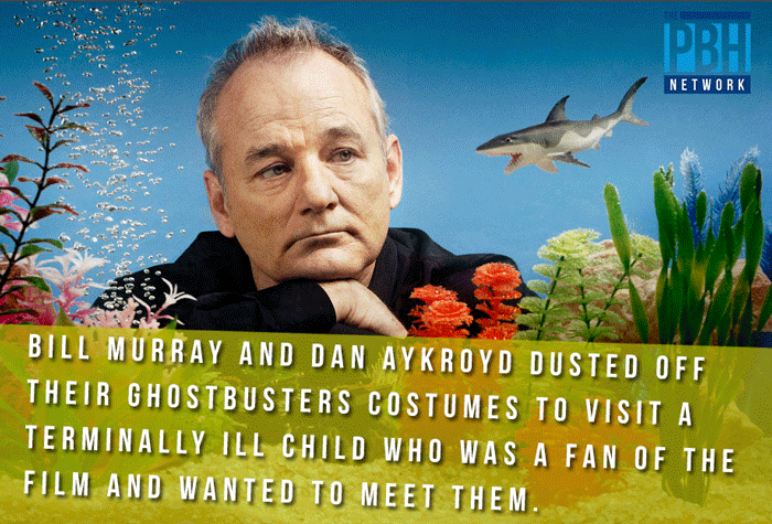Bill Murray