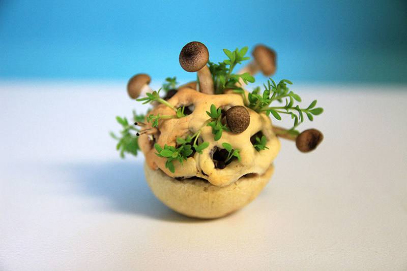 Food Of The Future