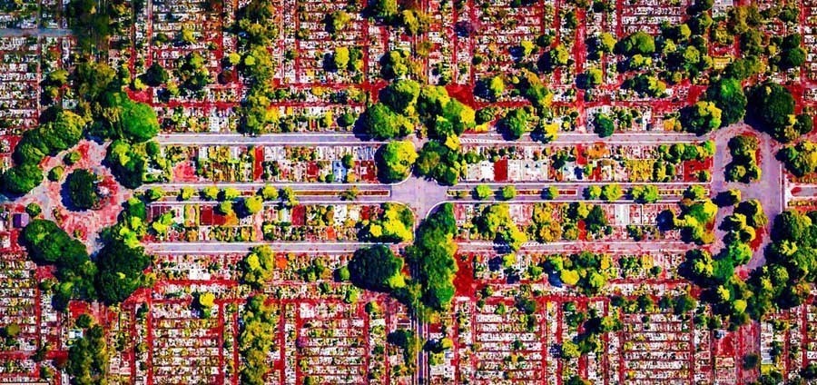 geometric earth broccoli trees