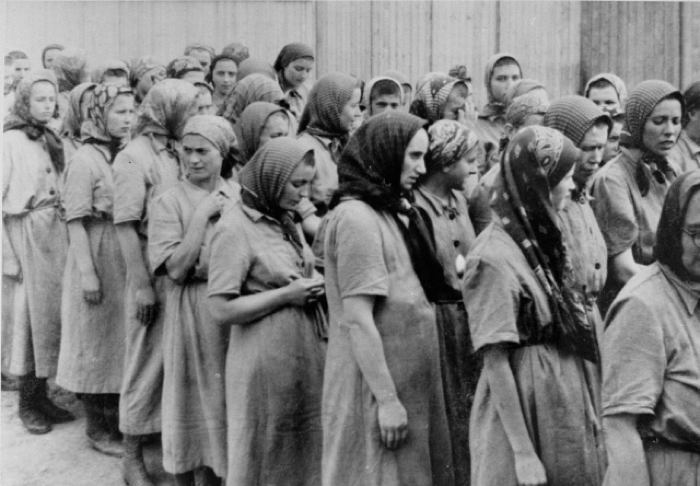 Pregnancy At A Holocaust Camp