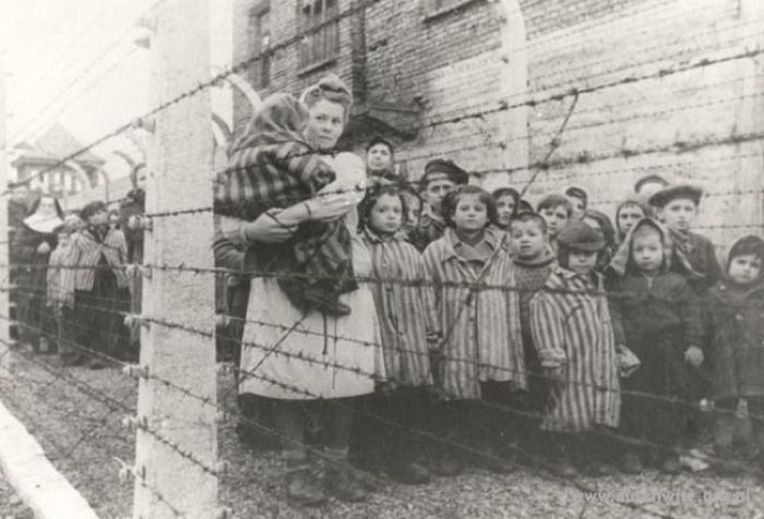 Liberated After The Holocaust