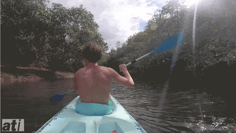 Mangrove Kayaking Costa Rica