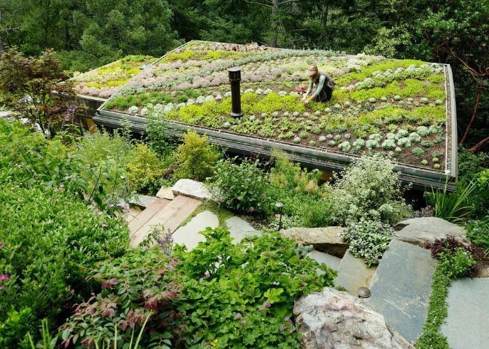 Rooftop Gardens Pictures