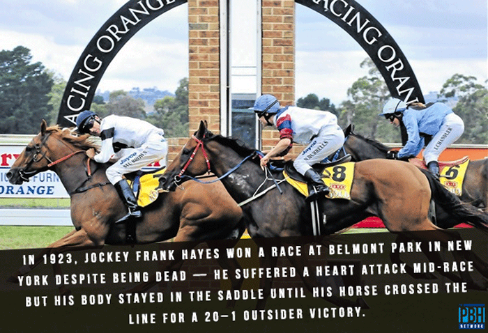 The Dead Jockey
