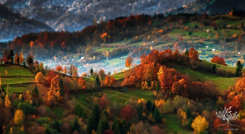 Transylvania Landscapes Foliage