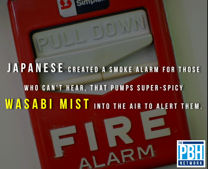 Wasabi Mist Smoke Alarm