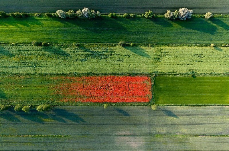World's Best Aerial Photography