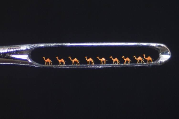 Micro Sculptures Camels