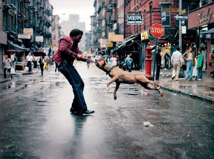 1980s New York City In 37 Startling Photographs