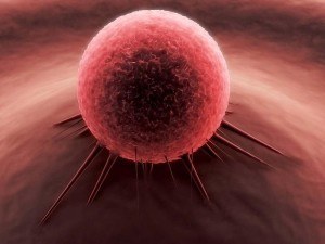 Amazing Medical Advances Lead