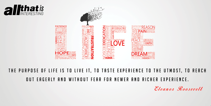 Eleanor Roosevelt Deep Quotes That Make You Think