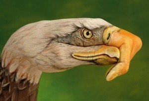 Guido Daniele Eagle