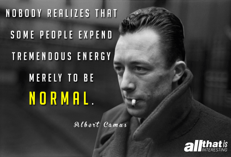 Quotes About Life Being Normal