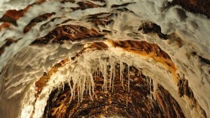 salt caves cardona spain