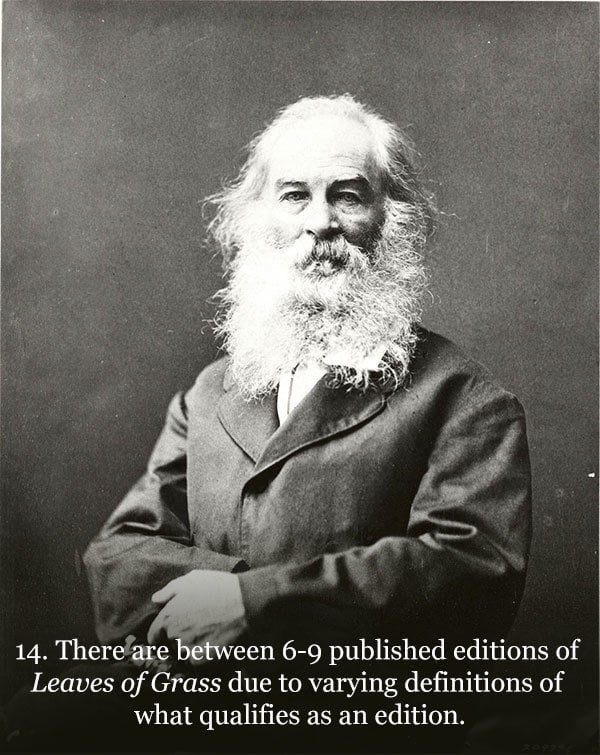 Walt Whitman Photograph