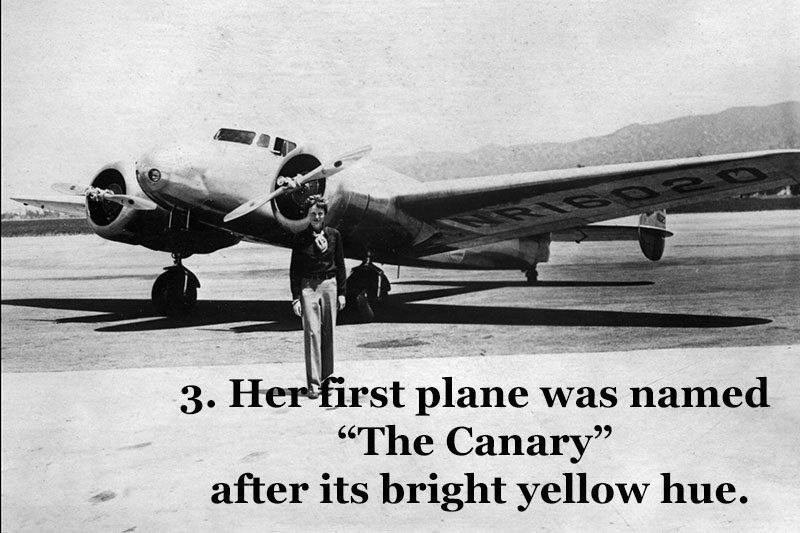 amelia earhart plane canary