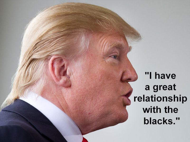 Crazy Donald Trump Quotes