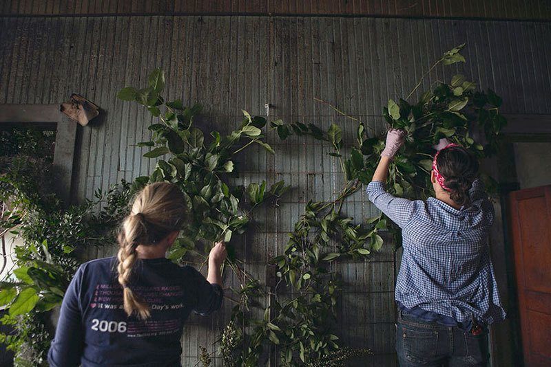 Flower House Installation Preview