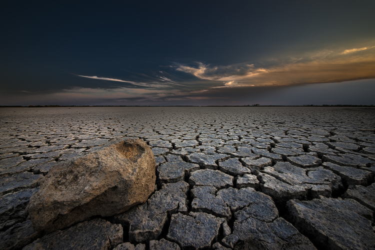 Mass Extinctions