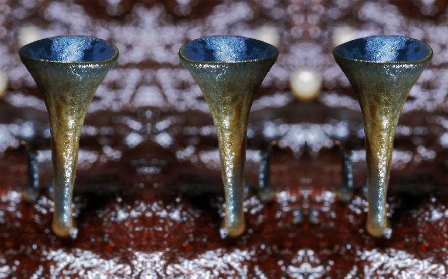 Coolest Mushrooms Cup