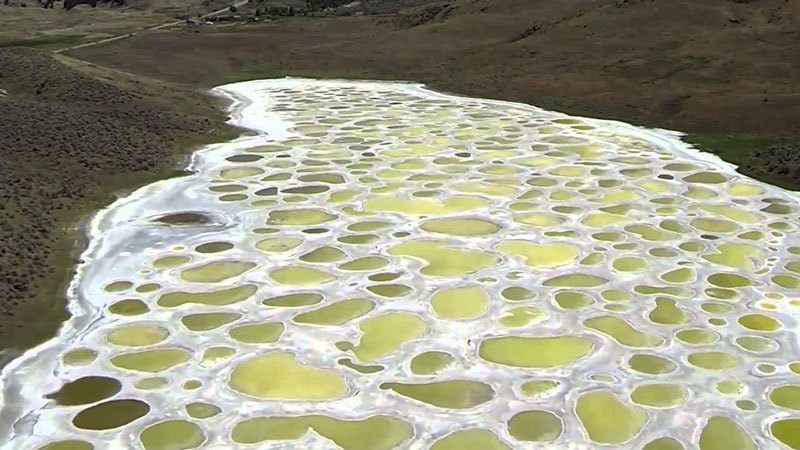 Awesome Spotted Lake in Canada