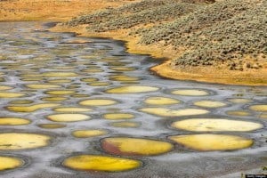 Spotted Lake Colorful