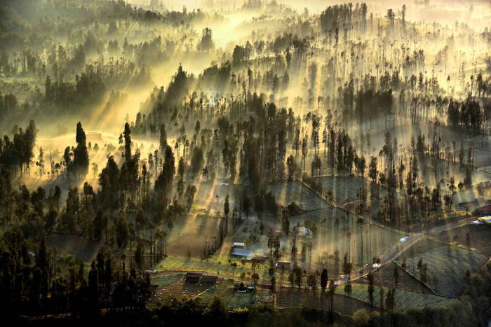 Sun Rays Field Fog
