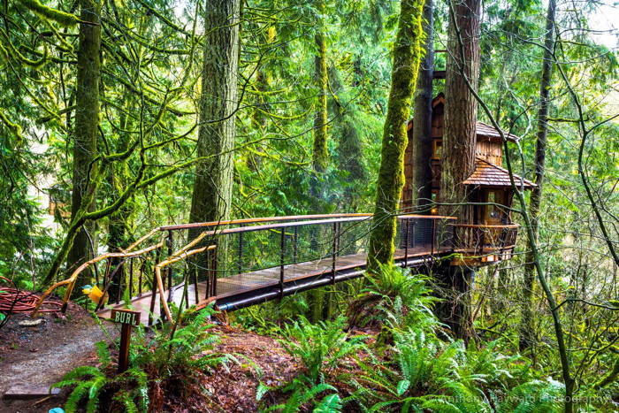 TreeHouse Bridge