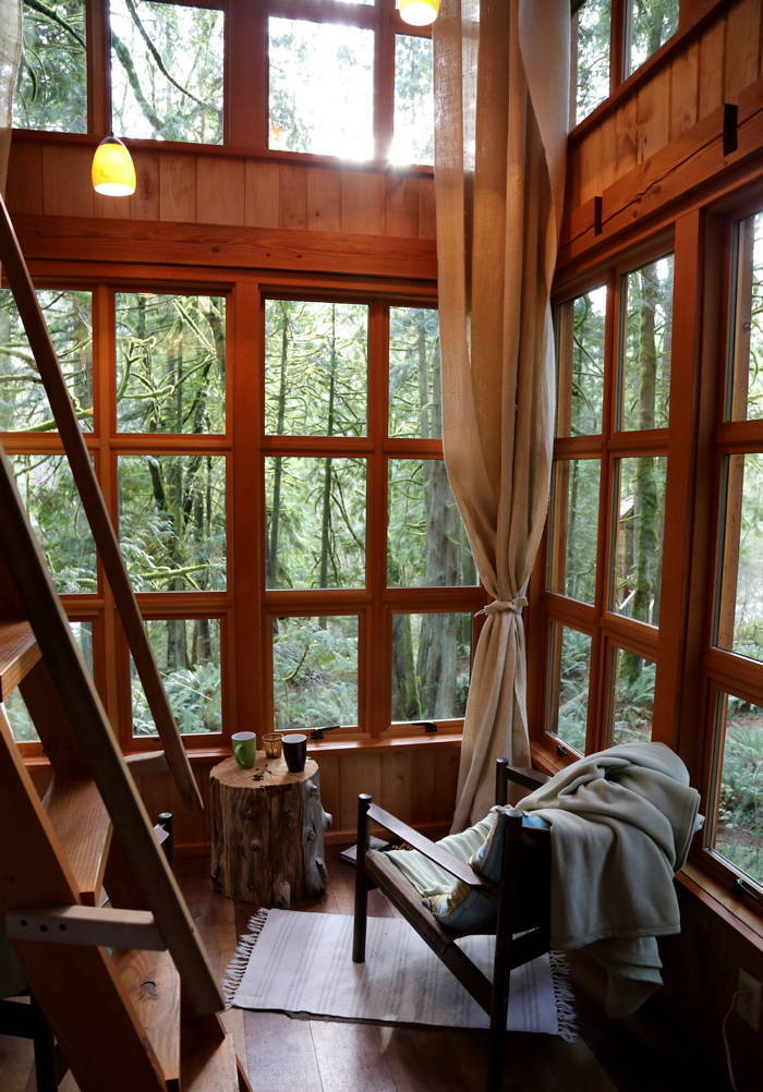 TreeHouse Windows