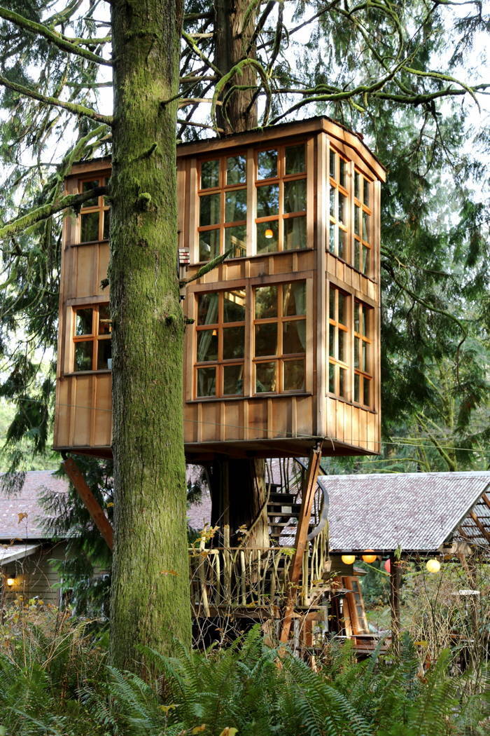 TreeHouse Point Windows