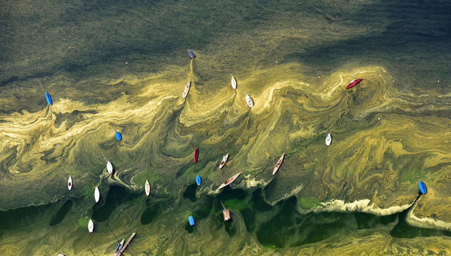 Boats Pollen Lake Ripples