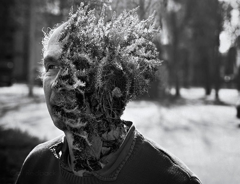 Treebeard In Black And White