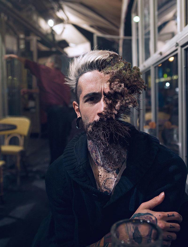 Treebeard Photo Series