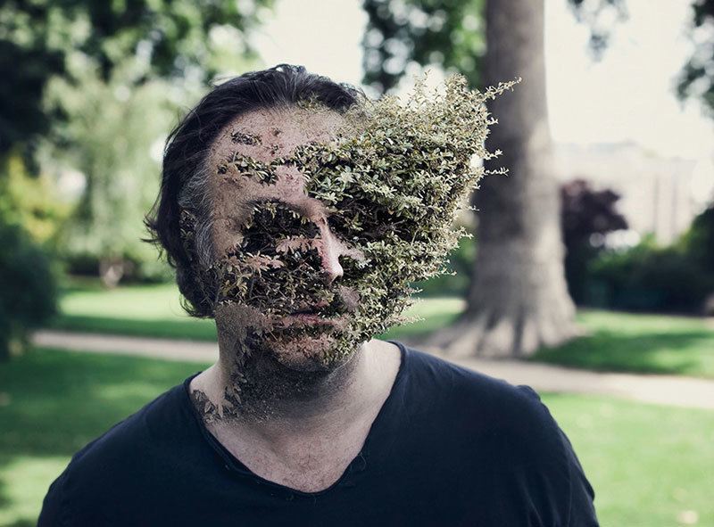 Cal Redback