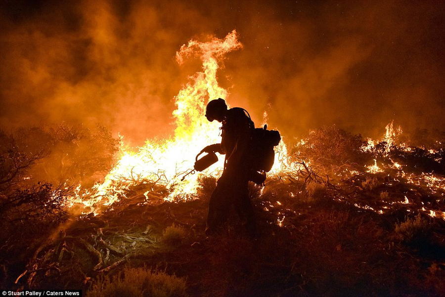 California Wildfires Flames Silhouette