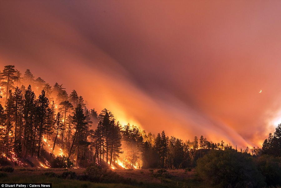 California Wildfires Trees Moon