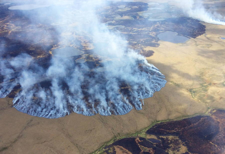 Forest Fire Aerial Smoke