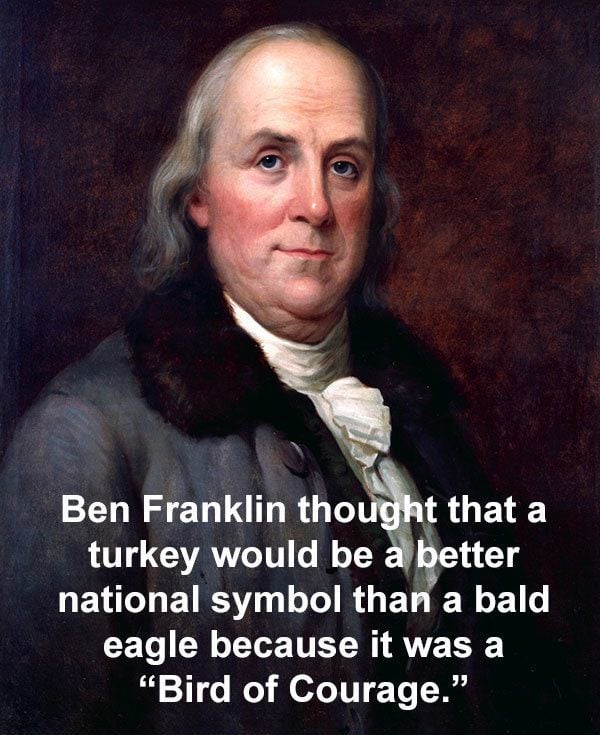 Ben Franklin Facts