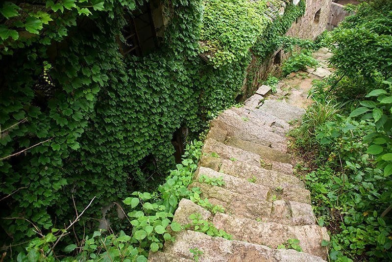 Goqui Island Abandoned Village