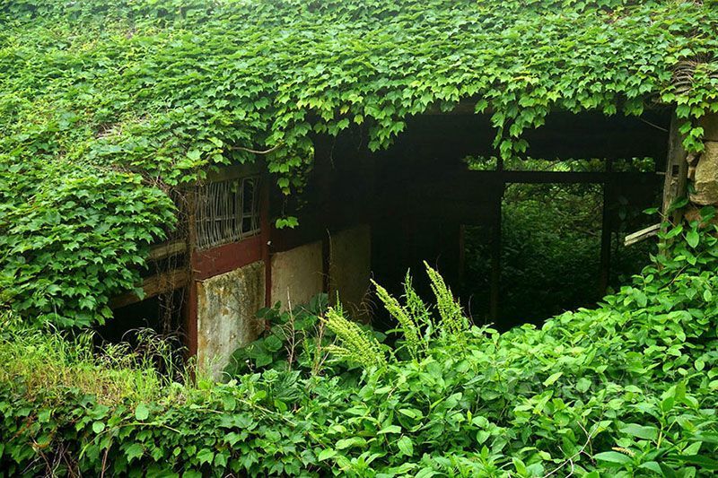 Ceiling of Abandoned Structure