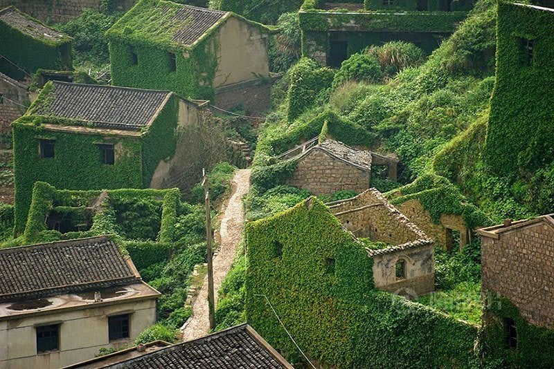 Greenery of Gouqi Island