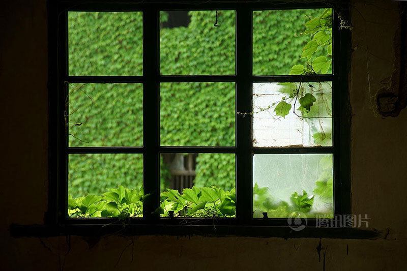 Windowsill Abandoned Building