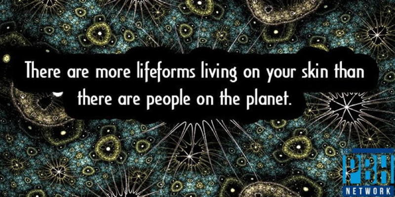Interesting Facts Lifeforms Skin