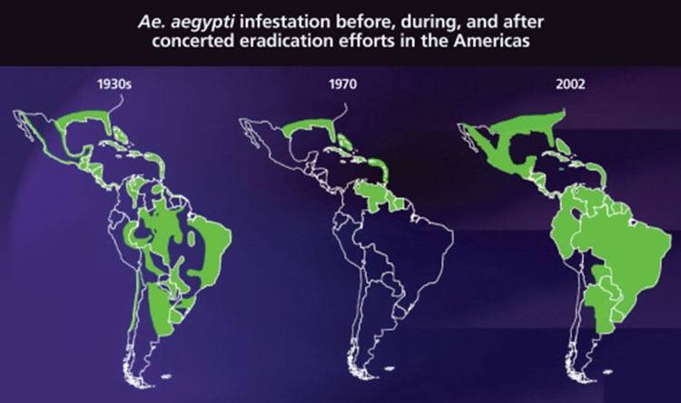 Map Of Mosquito Diseases