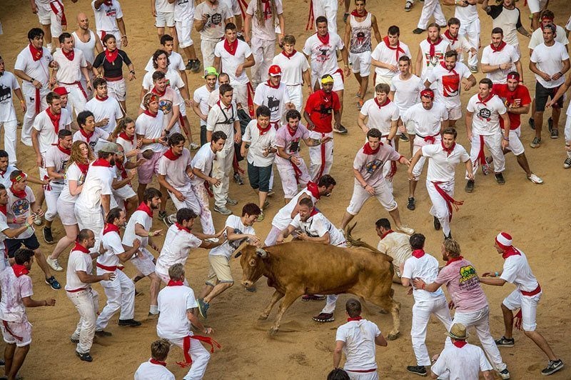 San Fermin Festival: Gorings, Crowds And So Many Bulls