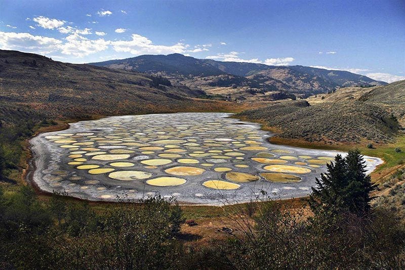 Spotted Lake Yellow Canada