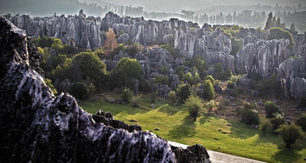 This Ancient Chinese Stone Forest Will Take You By Surprise