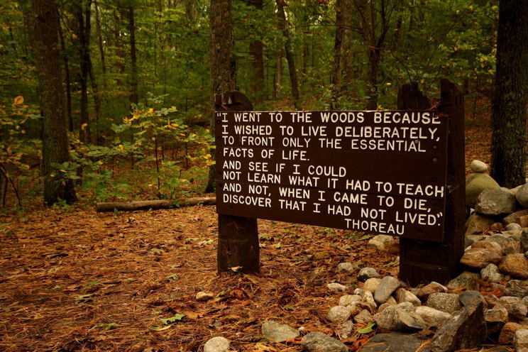 Thoreau Sign